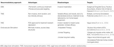 Over the Horizon: The Present and Future of Endovascular Neural Recording and Stimulation